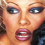 Barb Wire